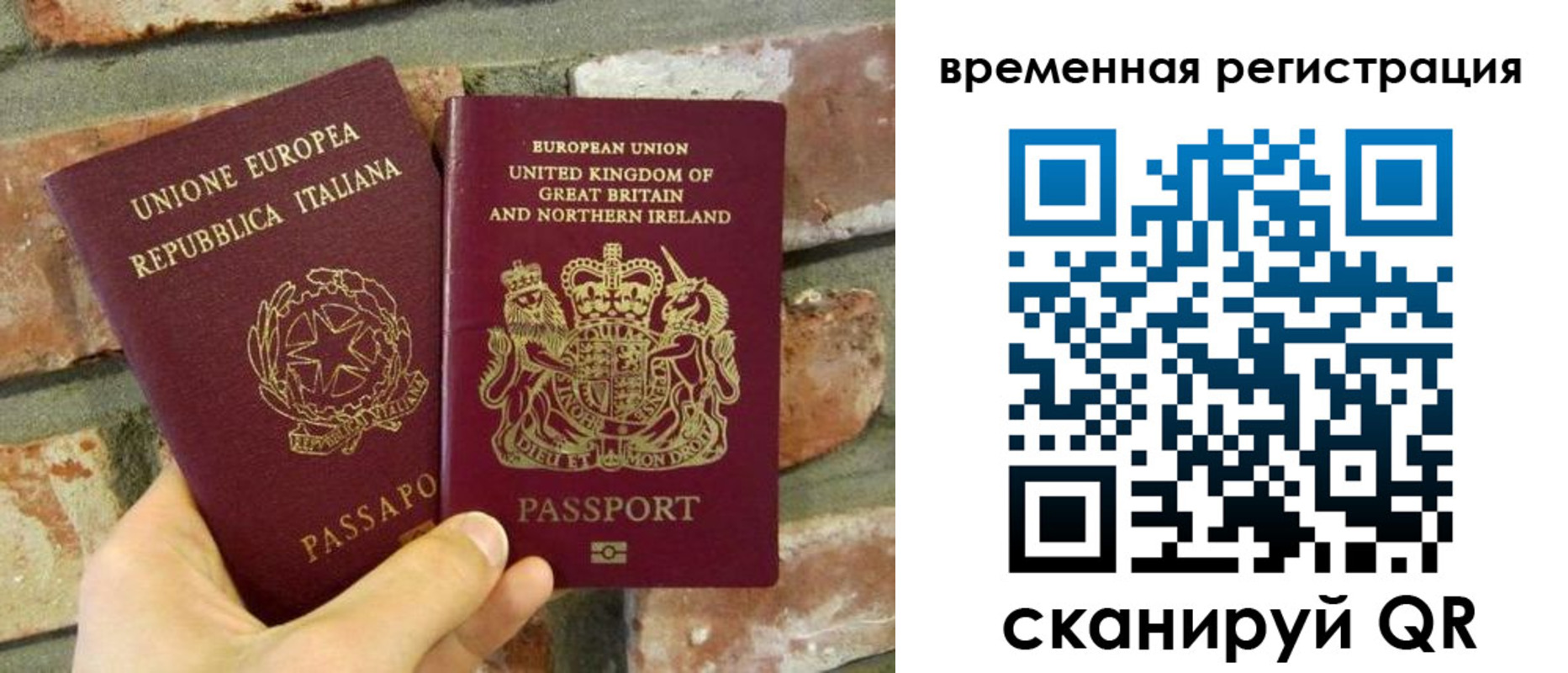 прописка для школы в Александровске